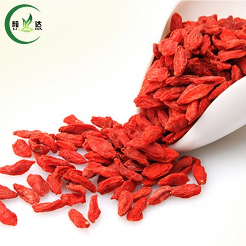 Organic Red Goji Lycii Wolfberry Dried Herbal tea Chinese Tea