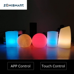 Christmas Gift LED Touch Light Luminaria Lighting Alexa Google Home Remote Lamp Battery Powered Children Light Usb Color Change