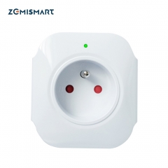 FR Portable Plug Smart EU Standard Wifi Outlet Alexa Google Home Electric Monitor Timer Control APP Control Home Automation