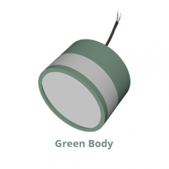 green body