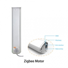 Zigbee motor