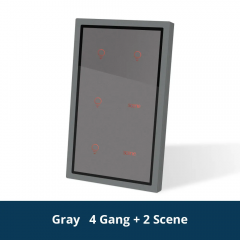 4 Gang with 2 Scene gr