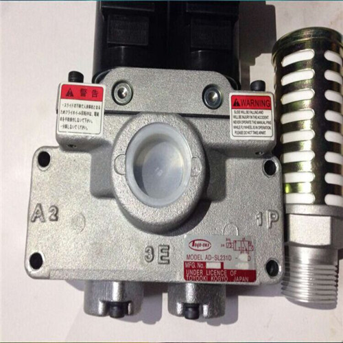 TOYOOKI VALVE AD-SL231D-406D-DA3 110VAC