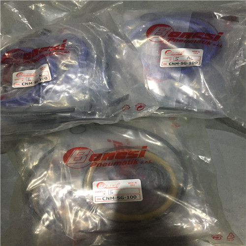 BONESI CYLINDER REPAIR KIT CNM-SG-100