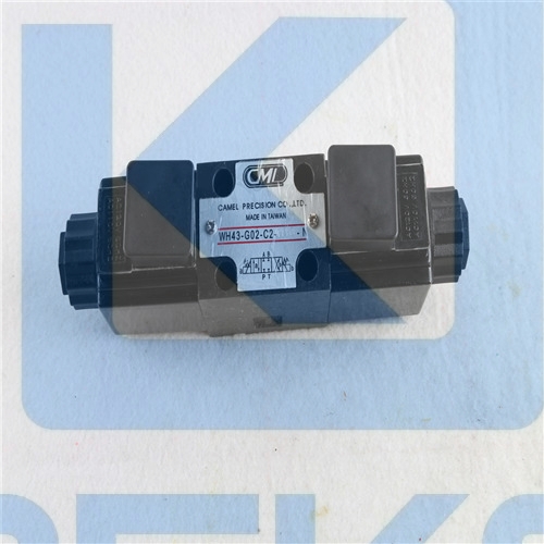 WH43-G02-C2-A110N CML VALVE