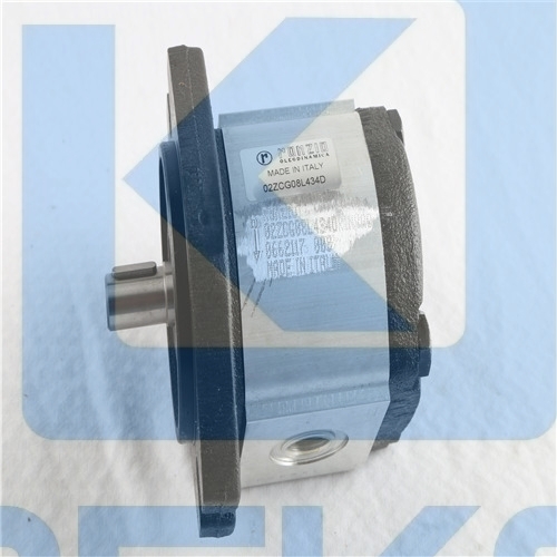 RONZIO GERA PUMP 02ZCG08L434D