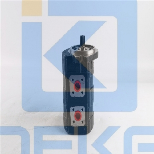 Casappa Double Gear Pump KP20.8-03S1-LBE/BC/20.8-LBE/BC
