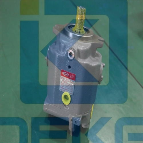TOYOOKI Hydraulic Pump HPP-VD2V-F31A5-A
