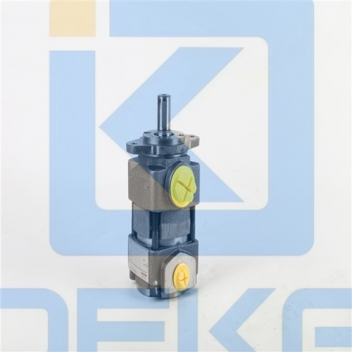 BUCHER Hydraulic Pump  QX23-008R08-O