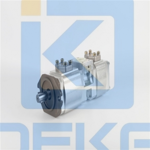 ECKERLE DOUBLE PUMP EIPC3-050RK/EIPC3-025RP