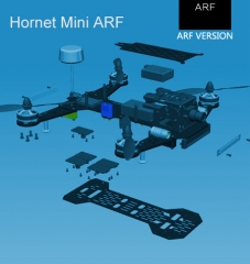 Hornet Mini ARF