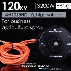 XM9015HD-10, high voltage Motor