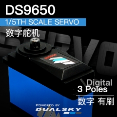 DS9650, 1/5th scale servo, 202g, 50kg.cm@7.4V