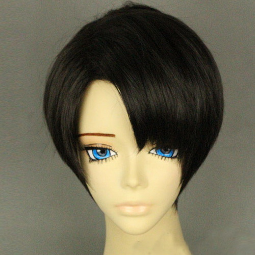 Rivaille (Levi) Cosplay Wig