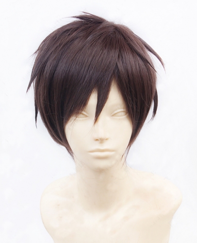 Attack on Titan Eren Wig