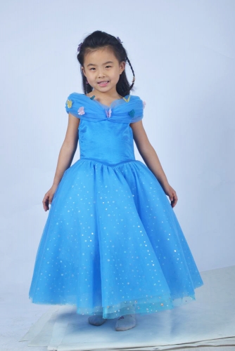 Cinderella Ella Dresses Children Version