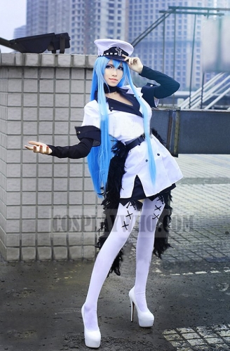 Akame ga Kill Esdeath Costume