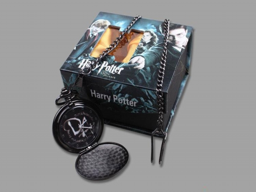 Harry Potter Pendant Watch