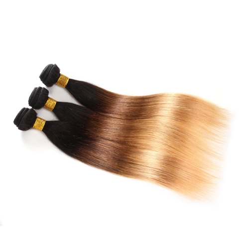 Fashionplus Hair 9A Grade 3 Bundles Brazilian Ombre Straight Human Hair Tone T1B/4/27 Ombre Hair Weave