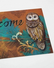 Bigacc Rustic Owl Welcome Floor Mat