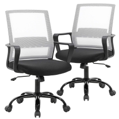 Office Chair Desk Chair Computer Chair Swivel Rolling Executive Lumbar Support Task Mesh Chair Metal Base for Women&Men, 2 Pack