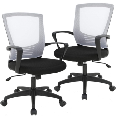 Mesh Office Chair Desk Chair Computer Chair Executive Rolling Swivel Chair Lumbar Support Task Chair for Back Pain, 2 Pack