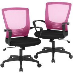Mesh Office Chair Desk Chair Computer Chair Executive Rolling Swivel Chair Lumbar Support Task Chair for Back Pain, 2 Pack