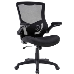 Home Office Chair Desk Chair Mesh Computer Chair with Lumbar Support Flip Up Arms Modern Task Chair Adjustable Swivel Rolling Executive Mid Back