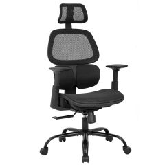 Office Chair Ergonomic Desk Chair Mesh Computer Chair with Arms Lumbar Support Swivel Rolling High Back Task Chair for Men Adults(Black)