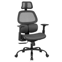 Office Chair Desk Chair Computer Chair with Arms Lumbar Support Swivel Rolling Ergonomic High Back Mesh Task Chair for Men(Grey)