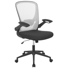 Office Chair Desk Chair Computer Chair with Lumbar Support Flip-up Arms Swivel Rolling Executive Task Chair Mesh Adjustable Ergonomic Chair for Adults