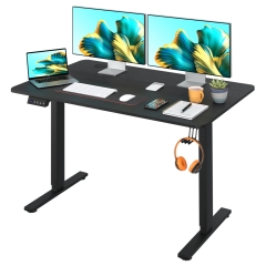 PayLessHere 48 Inch Adjustable Height Standing Desk Computer Desk with  Large Space  with Electric Lifting and 2 Memory Function Office Bedroom Black