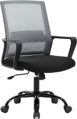 BestOffice Mesh Lumbar Support Indoor Swivel Ergonomic Office Chair, Gray