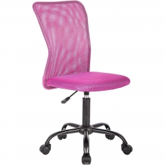 BestOffice Ergonomic Armless Office Chair with Adjustable Height, Lumbar Support for Adults(Pink)