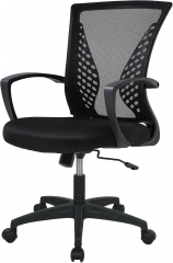 PayLessHere Black Ergonomic Gaming Chair - Adjustable Mesh w/Lumbar Support