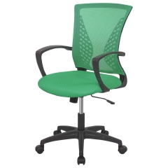 FDW Ergonomic Home Office Chair, Lumbar Support, Rolling Swivel for Women(Green)