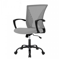 FDW Ergonomic Office Chair, Lumbar Support, Swivel Rolling for Men, Women(Grey)