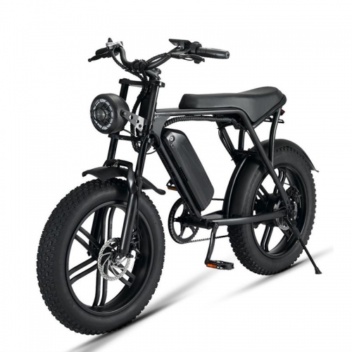 FXH-V8 20*4.0 Inch Fat Tire 350W/750W Off Road Inflatable Bicycle With Removable 48V 15AH Lithium-Ion Battery Electric Bike【EU Stock】