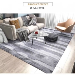 Modern Design Carpet Rugs in Living Room