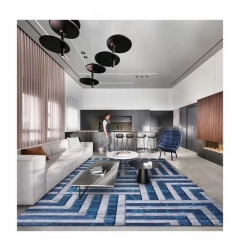 Modern Design Carpet Rugs in Living Room