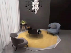 Modern Design Carpets and Rugs in Living room carpet, bedroom carpet, reception room carpet, exhibition hall carpet, hotel lobby carpet