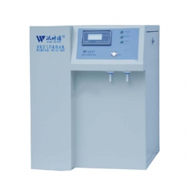 WTP Economic Laboratory Ultra Pure Water Machine