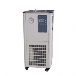 DLSB-10/20 low temperature coolant circulation pump