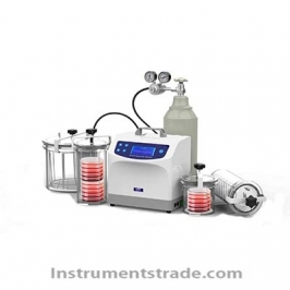 DW-100A-K Anaerobic Microbiological culture System