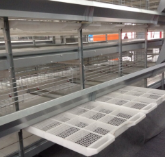 H Type Broiler Cages