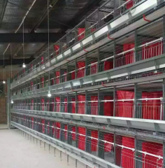 H Type Breeder Chicken Cages