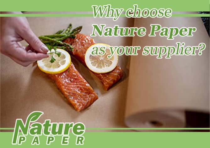 ¿Por qué elegir Nature Paper como su proveedor?