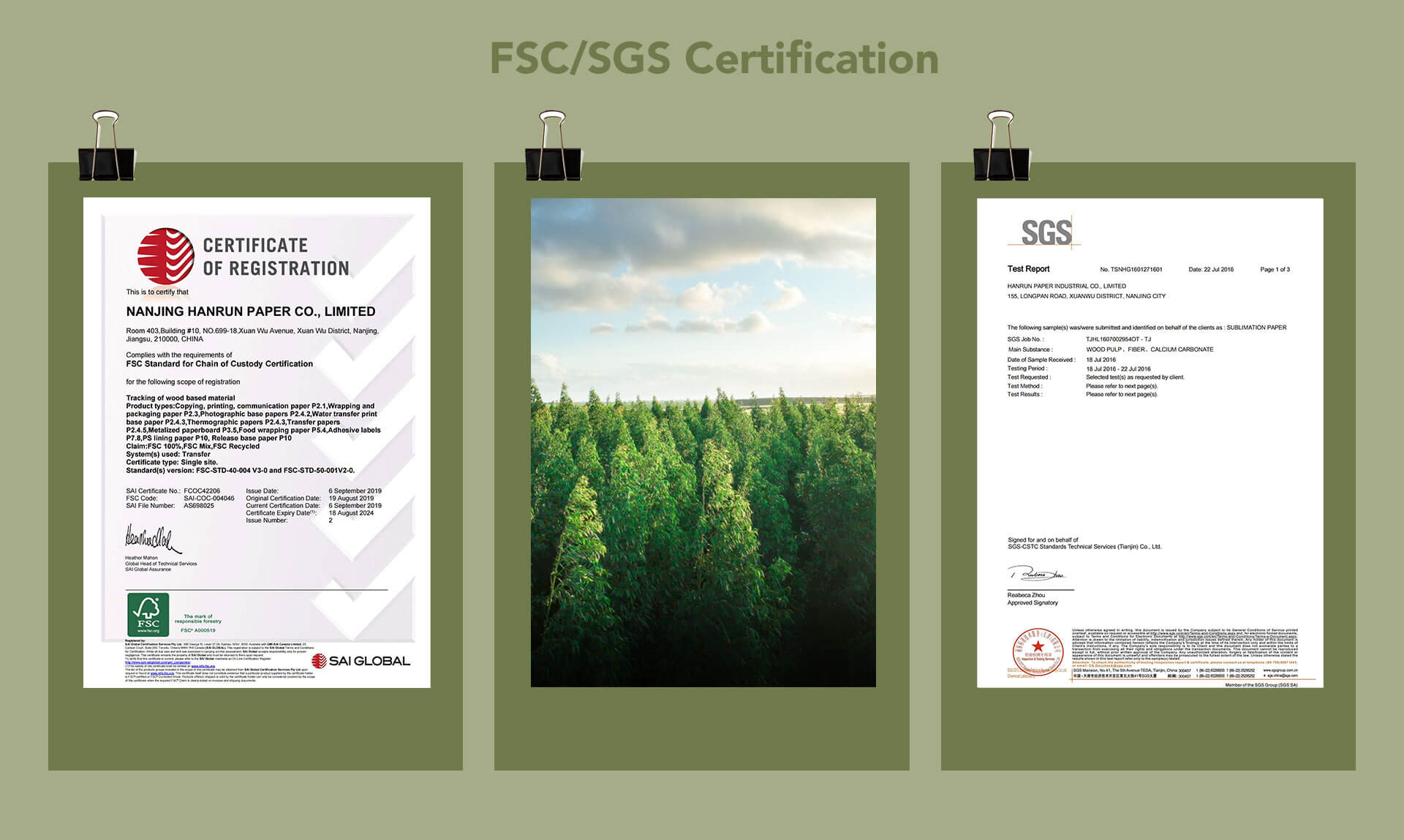 nature paper FSC/SGS Certification