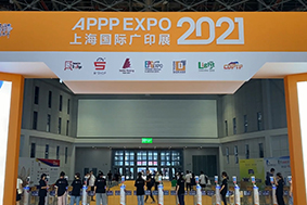 Revisión de la APPP EXPO 2021