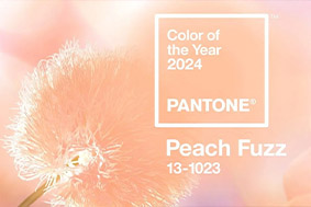 How to use Peach Fuzz - Pantone Color of 2024?